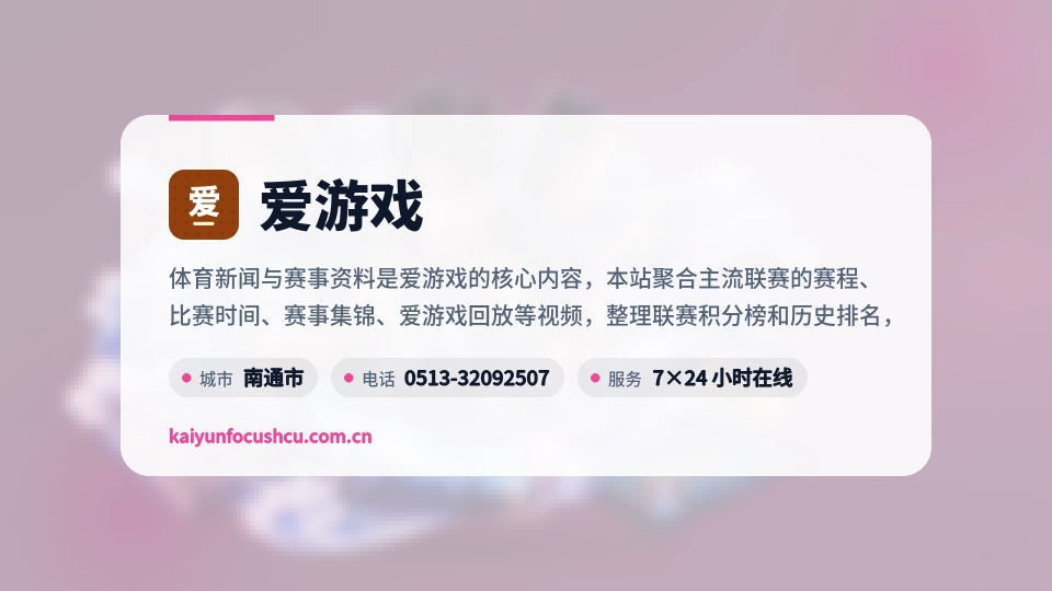 爱游戏概况